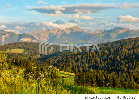 Summer mountain evening country view 46460588