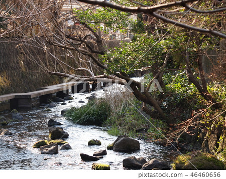 Genbeigawa在隆冬的早晨 46460656