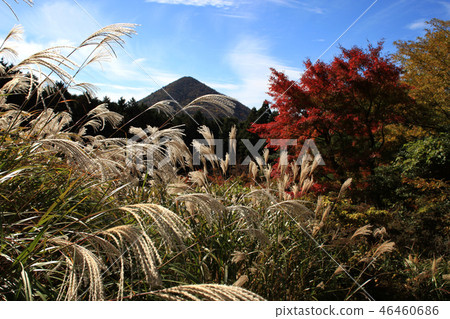 Unzendake池塘秋天風景 Unzendake池塘秋天風景 46460686