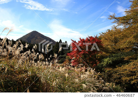 Unzendake池塘秋天風景 46460687