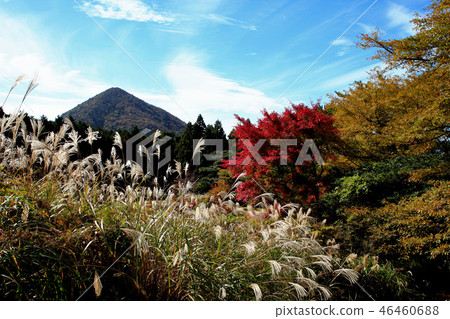Unzendake池塘秋天風景 Unzendake池塘秋天風景 46460688
