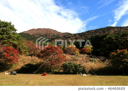 Unzendake池塘秋天風景 Unzendake池塘秋天風景 46460689