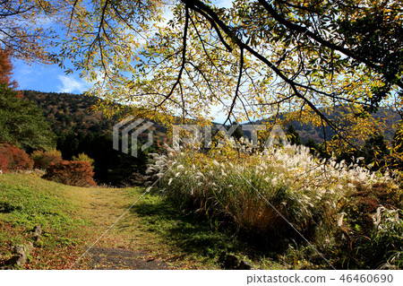 Unzendake池塘秋天風景 Unzendake池塘秋天風景 46460690