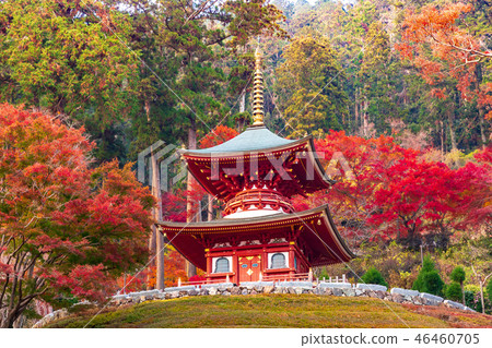 Tavasu Tower Katsuo-dera 46460705