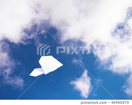 Paper Hikoki 46460879