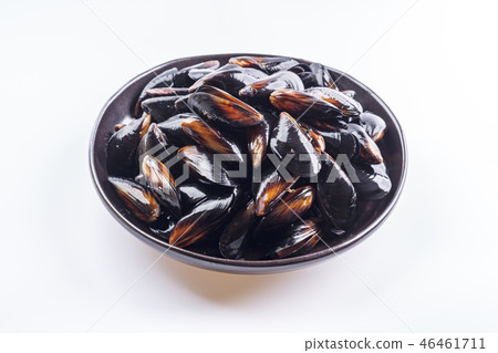 海蚌 海蚌 46461711