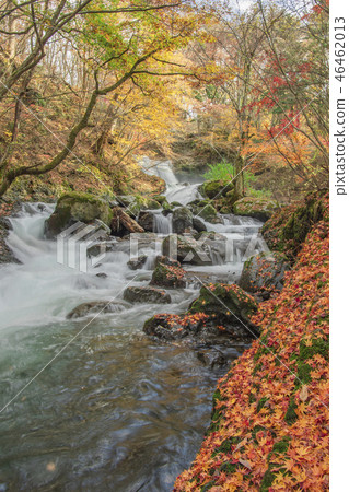 Kaneyama Waterfall Fall Autumn leaves Waterfall 46462013