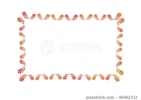 Autumn frame _ autumn leaves (Momiji and Yama urushi) 46462152