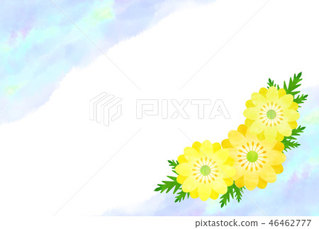 Fukujugusa在訪問期間感冒 Fukujugusa在訪問期間感冒 46462777