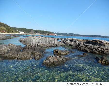 The sea of Kushimoto underwater park 46463239