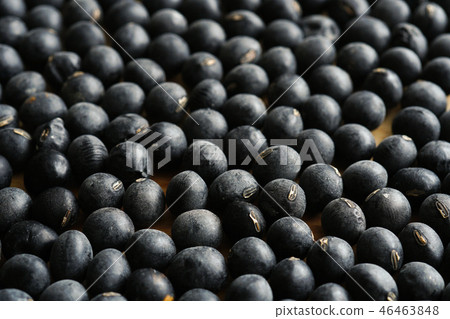 Tamba's black soybeans Tamba's black soybeans 46463848