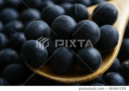 丹波的黑豆 46464199