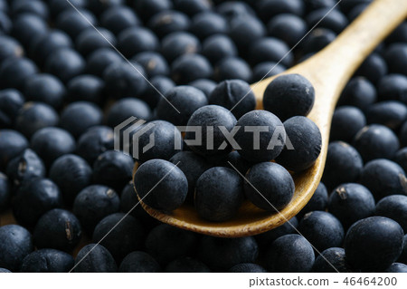 Tamba's black soybeans 46464200