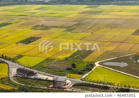 Pyeongsari Pyeongsari 46465801