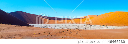 Dead camel thorn trees in Deadvlei dry pan with cracked soil in the middle of Namib Desert red dunes Dead camel thorn trees in Deadvlei dry pan with cracked soil in the middle of Namib Desert red dunes 46466280