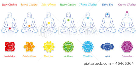 Chakras Seven Sanskrit Woman Colors Chakras Seven Sanskrit Woman Colors 46466364