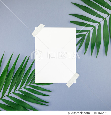 Mockup blank white postcard tropical palm leaves Mockup blank white postcard tropical palm leaves 46466460