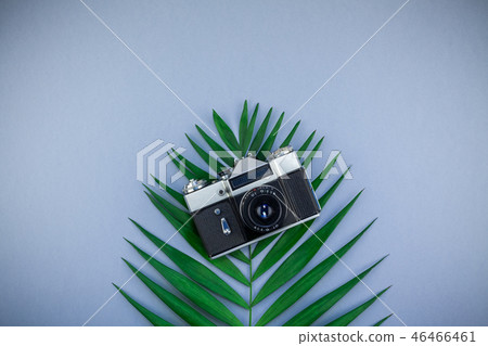 Tropical palm leaf and old photo camera background Tropical palm leaf and old photo camera background 46466461