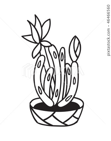 Cactus for coloring books. Vector illustration. 46466560