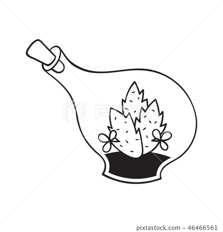 Cactus for coloring books. Vector illustration. 46466561