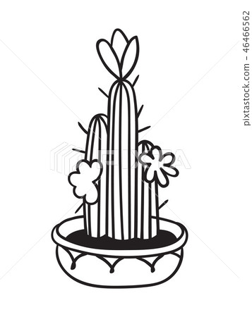 Cactus for coloring books. Vector illustration. 46466562