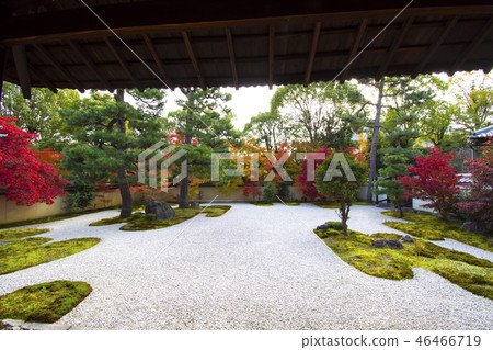 京都峨眉山寺 京都峨眉山寺 46466719