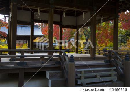 京都Ariki神社秋葉 京都Ariki神社秋葉 46466726
