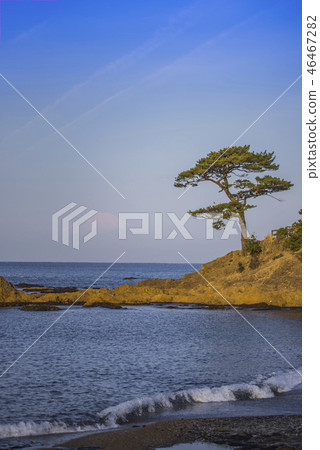 [秋穀立石] 46467282