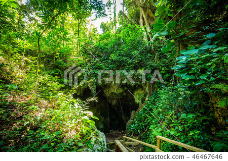 Cueva Ventana natural cave in Puerto Rico 46467646