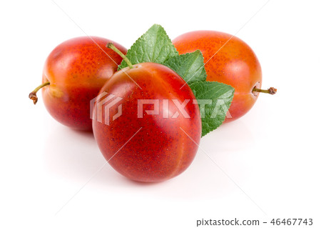 red plums with leaves isolated on white background 46467743