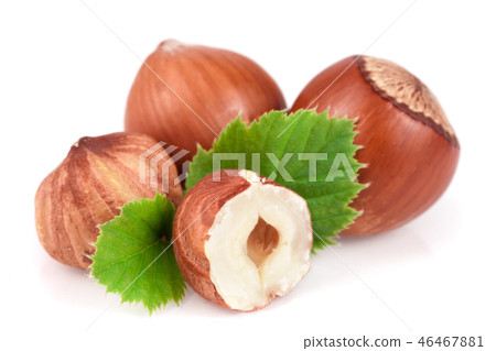 Hazelnuts with leaves isolated on white background 46467881