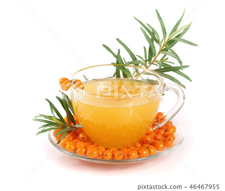 Sea buckthorn tea in a glass with berries isolated on a white background Sea buckthorn tea in a glass with berries isolated on a white background 46467955
