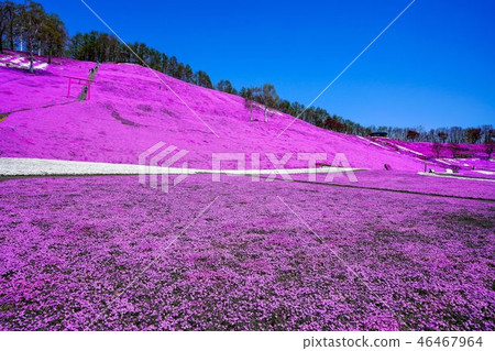 Hisashimo and Shibaura Park 46467964