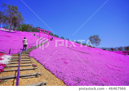 Hisashimo and Shibaura Park 46467966