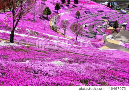 Hisashimo和Shibaura Park 46467973