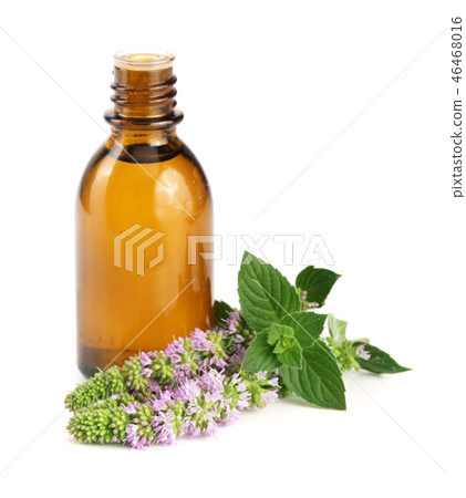 bottle of peppermint oil and fresh mint isolated on white background bottle of peppermint oil and fresh mint isolated on white background 46468016