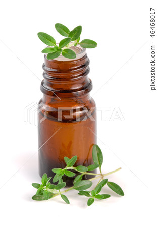 Bottle of essential oil with herbs thyme isolated on white background Bottle of essential oil with herbs thyme isolated on white background 46468017