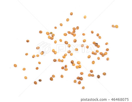 Yellow mustard seeds isolated on white background, top view Yellow mustard seeds isolated on white background, top view 46468075