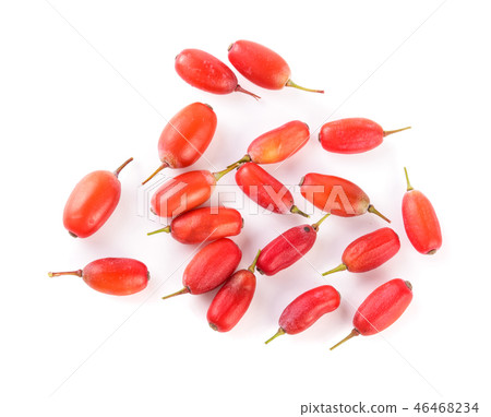 fresh barberry isolated on a white background. top view 46468234