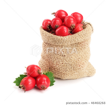 Hawthorn berry with leaf in burlap bag isolated on white background close-up Hawthorn berry with leaf in burlap bag isolated on white background close-up 46468268
