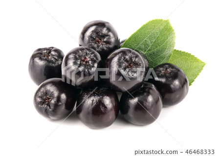 Chokeberry with leaf isolated on white background. Black aronia berries 46468333