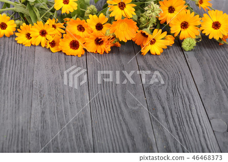 Calendula officinalis. Marigold flower with leaf on black wooden background with copy space for your Calendula officinalis. Marigold flower with leaf on black wooden background with copy space for your 46468373