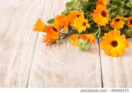 Calendula officinalis. Marigold flower with leaf on white wooden background with copy space for your Calendula officinalis. Marigold flower with leaf on white wooden background with copy space for your 46468375