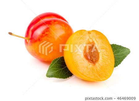 Yellow plum with leaves isolated on white background 46469009