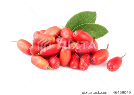 fresh barberry with leaves isolated on a white background 46469049