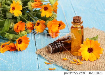 aromatherapy essential oil with fresh marigold flowers on blue wooden background. Calendula oil aromatherapy essential oil with fresh marigold flowers on blue wooden background. Calendula oil 46469076