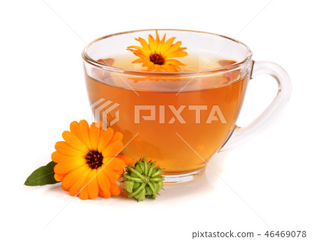 Calendula tea with fresh flowers isolated on white background Calendula tea with fresh flowers isolated on white background 46469078