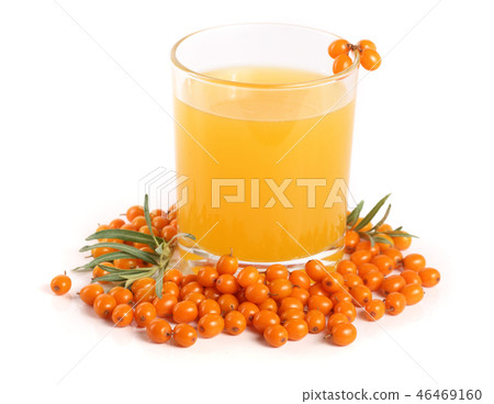 Sea buckthorn juice in a glass with berries isolated on a white background Sea buckthorn juice in a glass with berries isolated on a white background 46469160