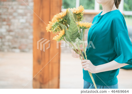 向日葵 花朵 花 46469664