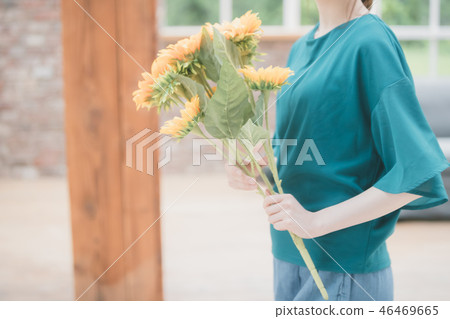 向日葵 女生 女孩 46469665